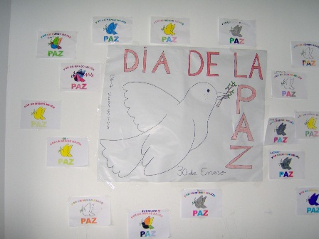 dia paz 157